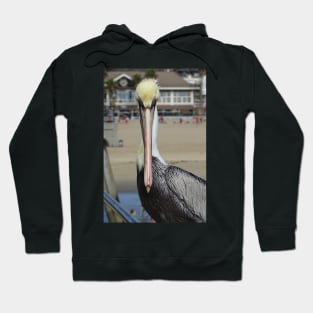 Pelican Eye to Eye Hoodie